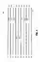 Fig. 05 - Planar transformers having reduced termination losses