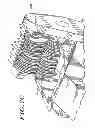Fig. 10 - ROBOTIC APPARATUS