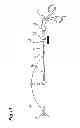 Fig. 12 - Forceps and forceps unit