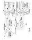 Fig. 08 - Mechanism for detecting coronary ischemia
