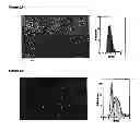 Fig. 03 - MAGNETIC PARTICLES
