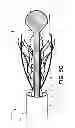 Fig. 07 - Retaining cage to permit resheathing of a tavi aortic-first transapical system