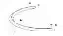 Fig. 01 - Intrastomal segment