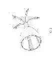Fig. 02 - Articulable anchor