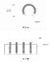Fig. 06 - Engineered tissue scaffolds and supports therefor