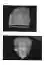 Fig. 09 - SCAFFOLDS FOR ORGAN RECONSTRUCTION AND AUGMENTATION