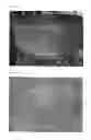 Fig. 11 - SCAFFOLDS FOR ORGAN RECONSTRUCTION AND AUGMENTATION