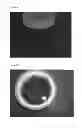 Fig. 13 - SCAFFOLDS FOR ORGAN RECONSTRUCTION AND AUGMENTATION