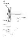 Fig. 16 - SCAFFOLDS FOR ORGAN RECONSTRUCTION AND AUGMENTATION