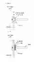 Fig. 17 - SCAFFOLDS FOR ORGAN RECONSTRUCTION AND AUGMENTATION