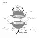 Fig. 18 - SCAFFOLDS FOR ORGAN RECONSTRUCTION AND AUGMENTATION