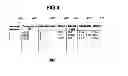 Fig. 09 - Methods for determining workout plans and sessions