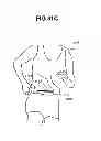 Fig. 44 - Methods for determining workout plans and sessions