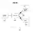 Fig. 76 - Methods for determining workout plans and sessions