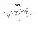 Fig. 86 - Methods for determining workout plans and sessions
