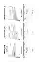 Fig. 02 - Methodology of grading reliability and performance of chips across wafer