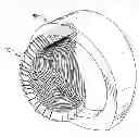 Fig. 01 - Method for Designing and Making Jewelry