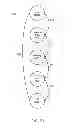 Fig. 28 - Product dispensing system
