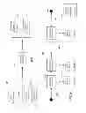 Fig. 07 - FACTOR COST TIME SERIES TO OPTIMIZE DRIVERS AND VEHICLES: METHOD AND APPARATUS