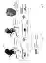 Fig. 25 - Method and system for patient-specific modeling of blood flow