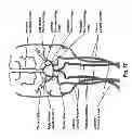 Fig. 26 - Method and system for patient-specific modeling of blood flow