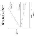 Fig. 04 - Systems and methods for determining the probability of a pregnancy at a selected point in time