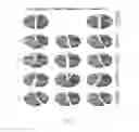 Fig. 09 - DISTRIBUTOR OF NEURONS IN A NEOCORTICAL COLUMN