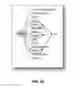 Fig. 36 - SYSTEM AND METHOD FOR ANALYZING AND MAPPING SEMIOTIC RELATIONSHIPS TO ENHANCE CONTENT RECOMMENDATIONS