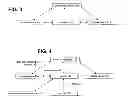 Fig. 04 - Multimedia search application for a mobile device