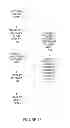 Fig. 19 - Pictures from sketches