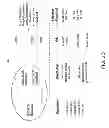 Fig. 07 - Vendor Contract Assessment Tool