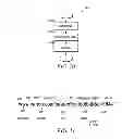 Fig. 09 - Clickstream analysis methods and systems related to modifying an offline promotion for a consumer good