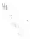 Fig. 04 - ONLINE DISTRIBUTION AND ACCUMULATION OF INCENTIVE REWARDS