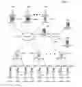 Fig. 03 - System for creating separate data serving spaces for each mobile carrier in a plurality of mobile carriers