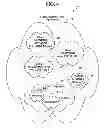 Fig. 05 - Method and system for automated intellegent advertising on wearable devices