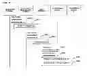 Fig. 06 - DIALOG BOX MANAGEMENT SYSTEM, USER TERMINAL, DIALOG BOX EXPOSURE METHOD AND METHOD FOR CONFIGURING DIALOG BOX EXPOSURE USING THE SAME