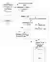Fig. 01 - Transferable File Position