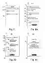 Fig. 06 - Method of displaying and transacting electronic trading cards