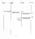 Fig. 06 - SYSTEM AND METHOD OF AUTHENTICATING A NETWORK GATEWAY
