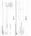 Fig. 41 - SYSTEMS AND METHODS FOR PATENT  PORTFOLIO MANAGEMENT AND GENERATION OF ANALYTICS