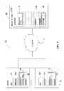 Fig. 02 - Enhanced attribute synchronization in a content management system