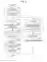 Fig. 03 - INFORMATION PROCESSING APPARATUS