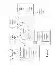 Fig. 02 - Trackable sharing of on-line video content