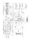 Fig. 02 - HOLIDAY EXPRESSION AND MAPPING IN A GEOSPATIALLY CONSTRAINED SOCIAL NETWORK