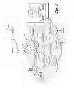 Fig. 02 - Overlay network
