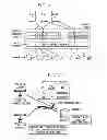 Fig. 02 - Virtual Consolidated Appliance