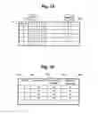 Fig. 08 - Storage system effectively managing a capacity for remote copy