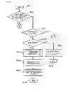 Fig. 24 - Storage system and method of controlling storage system