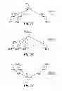 Fig. 03 - Updating reliability data with a variable node and check nodes