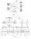 Fig. 02 - Web Browser Bookmark Reconciliation